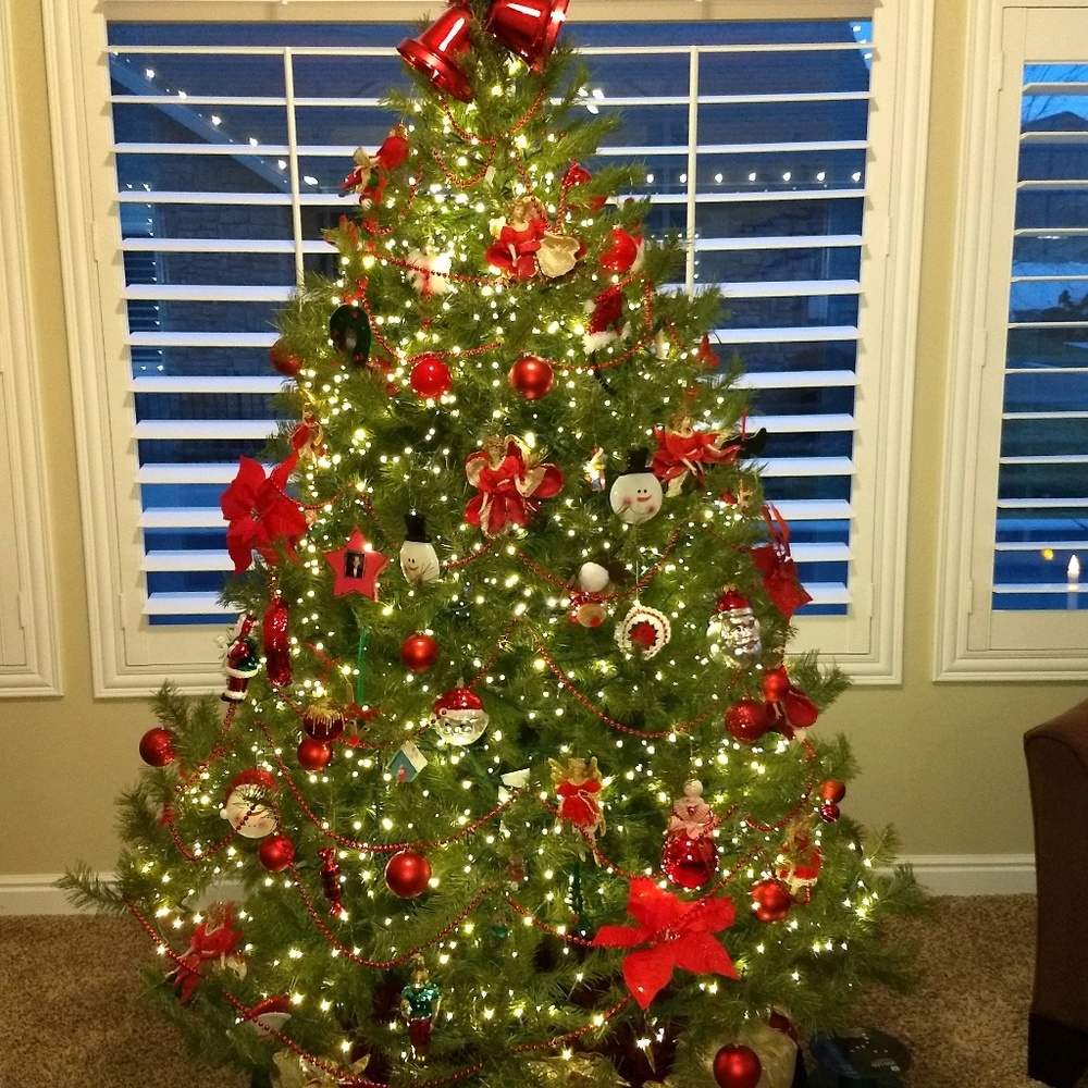 Meet your Posher, Mlee